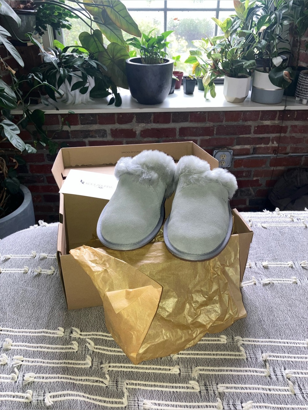 Cozy Women's UGG Koolaburra Slippers - Light Gray